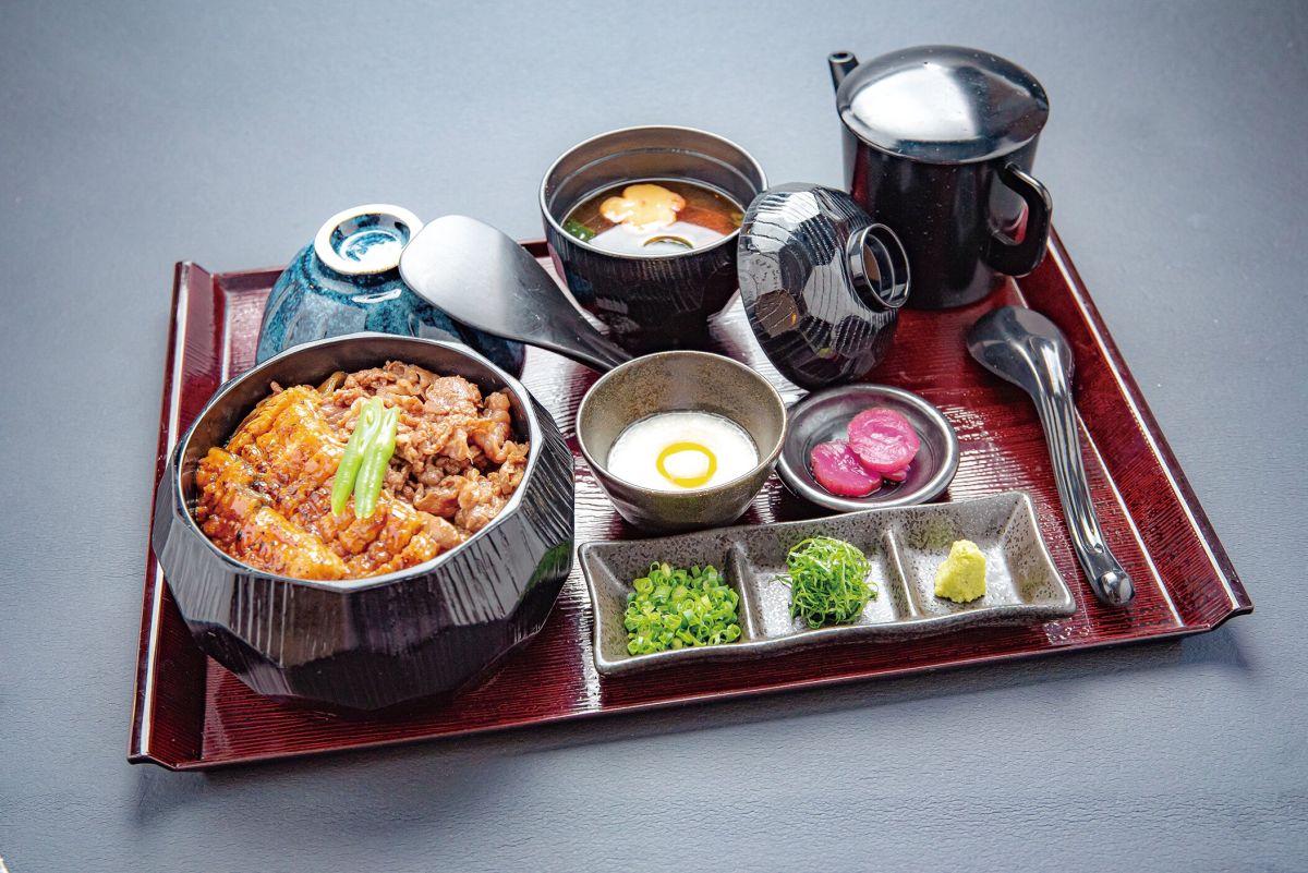 道の駅とよはし