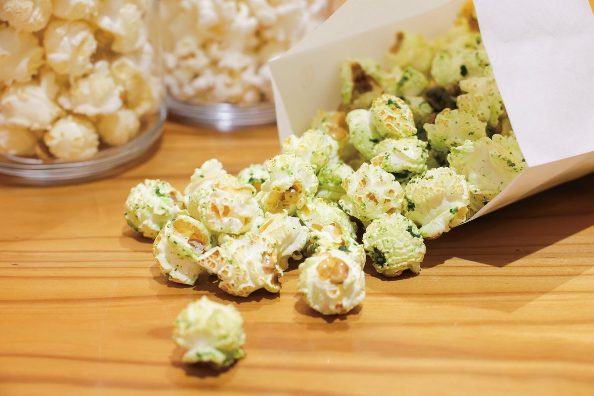 道の駅とよはし