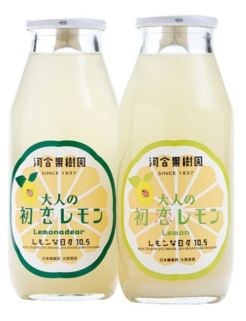 道の駅とよはし