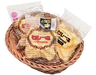 道の駅とよはし