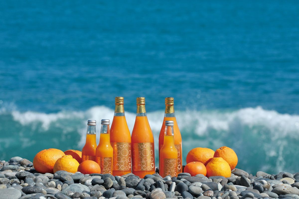 道の駅パーク七里御浜