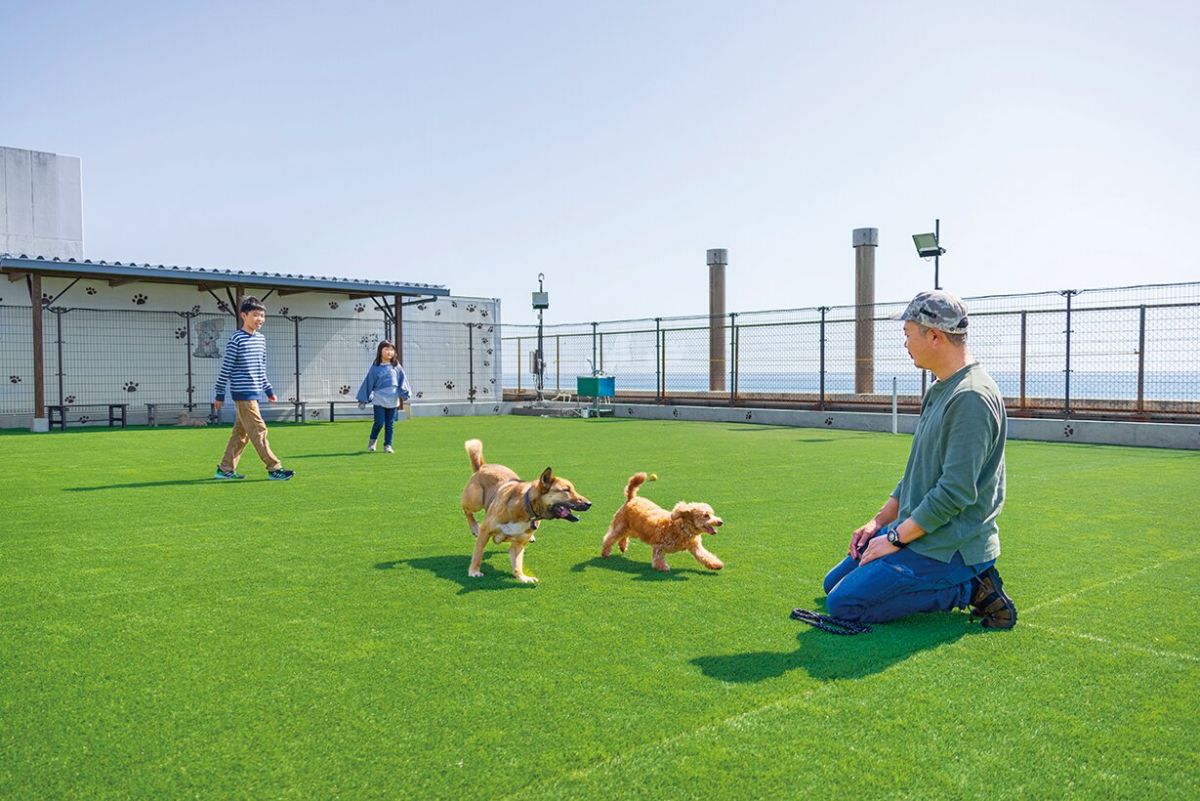 道の駅パーク七里御浜