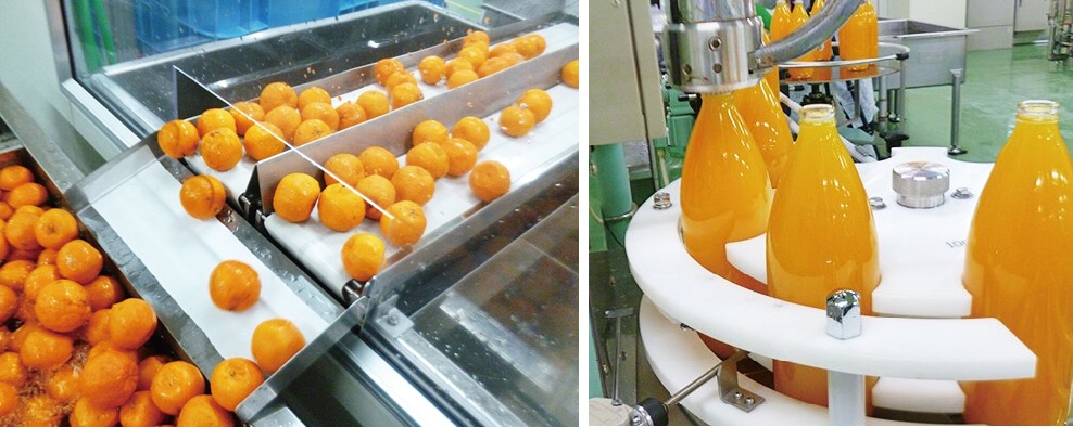 道の駅パーク七里御浜