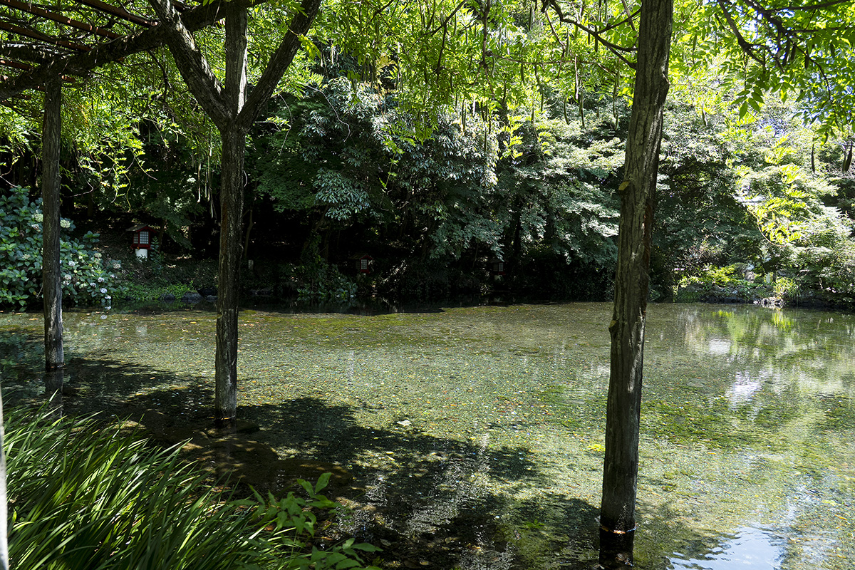 2008年環境省「平成の名水百選」の一つに選定