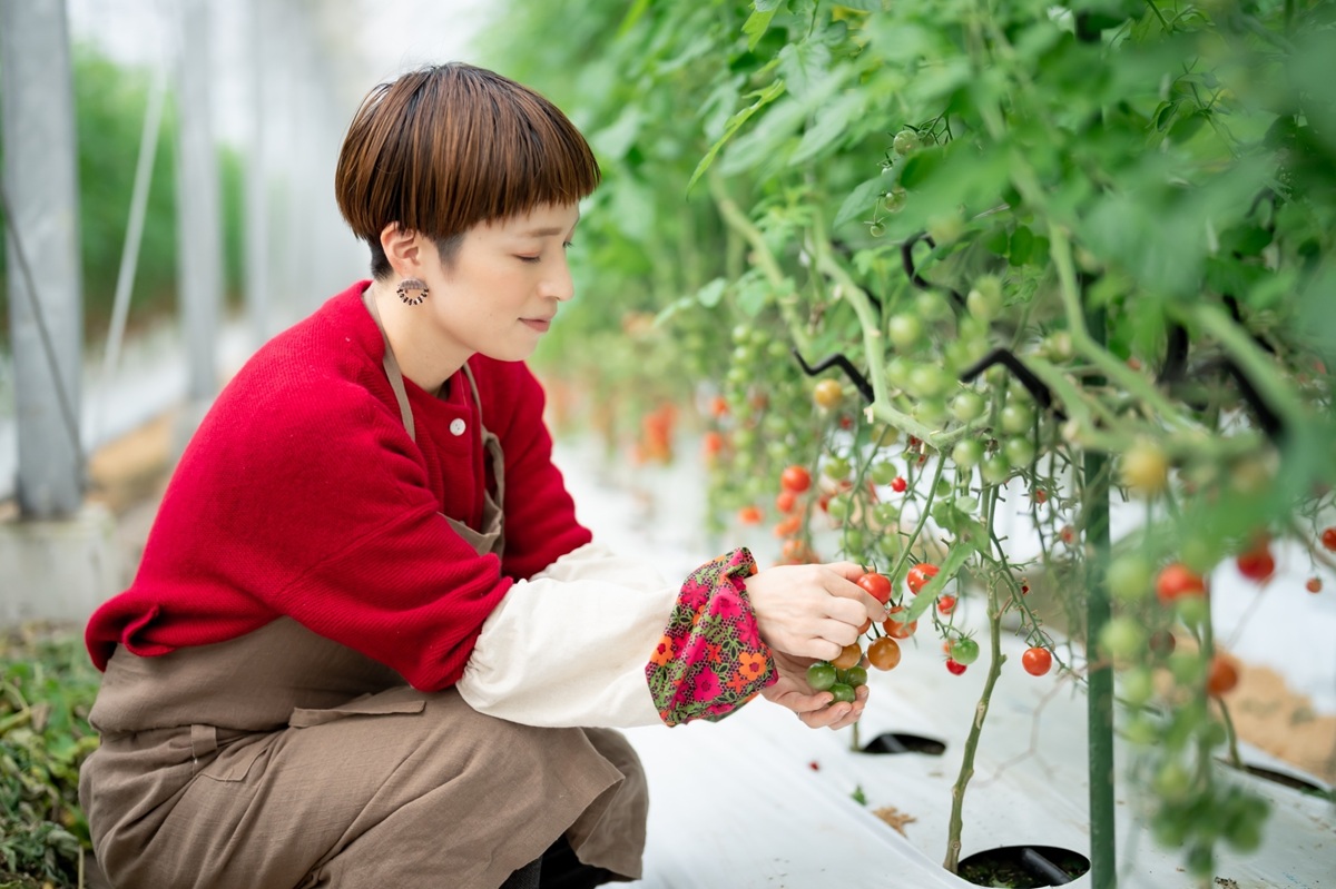 一番新鮮な状態の「宮トマト」を心ゆくまで味わえる