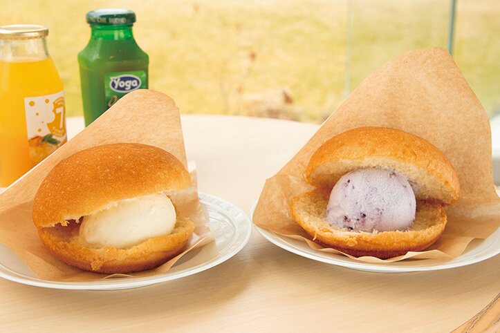 彫刻の森美術館「ジェラート・コンパーネ」650円～