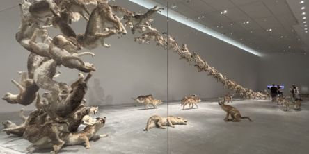【香川】「直島新美術館」は“直島アート”35年の集大成！ 2025年5月開館のアートスポットを徹底レポート