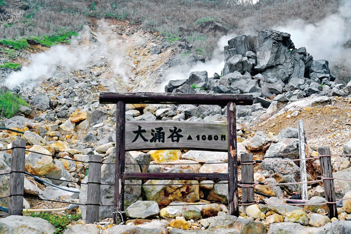 大涌谷自然研究路