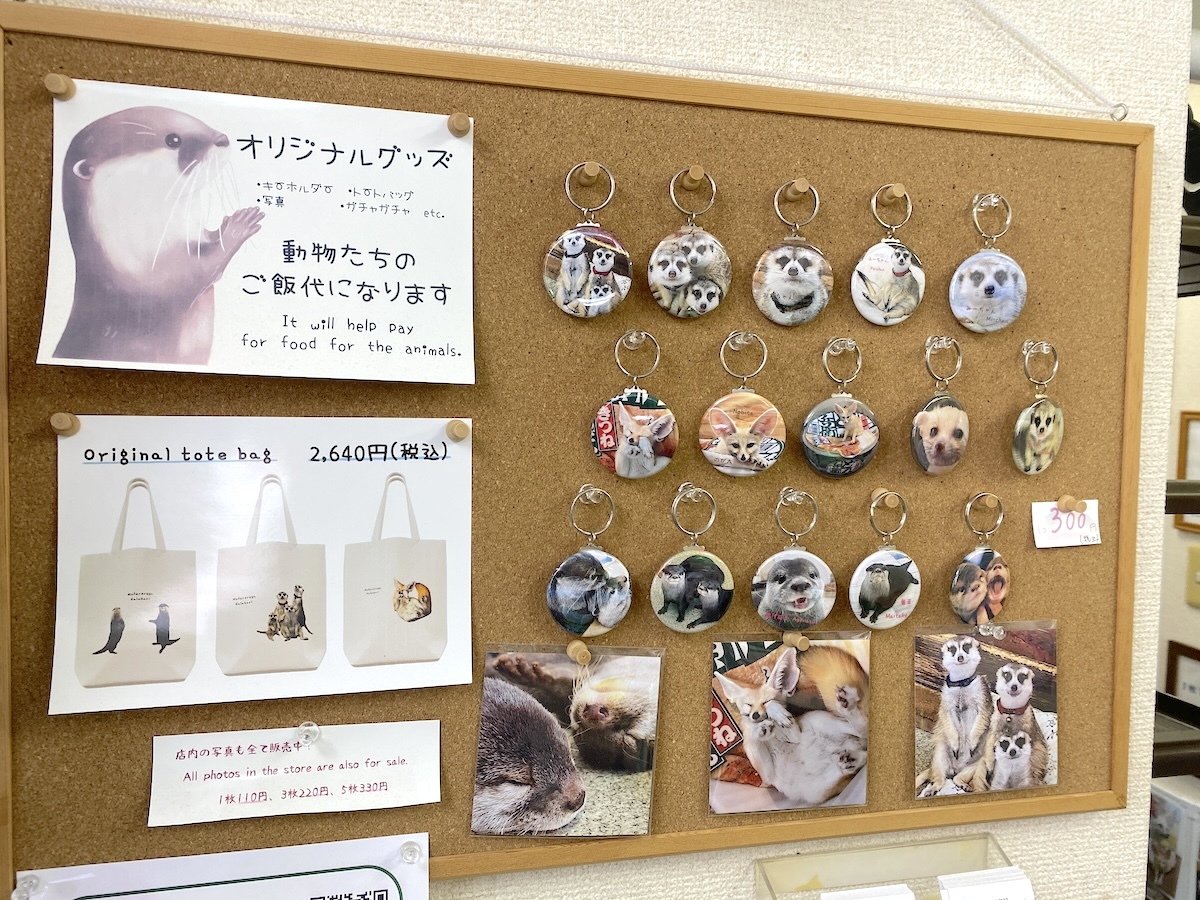 「もふれる屋 カラハリ」物販1