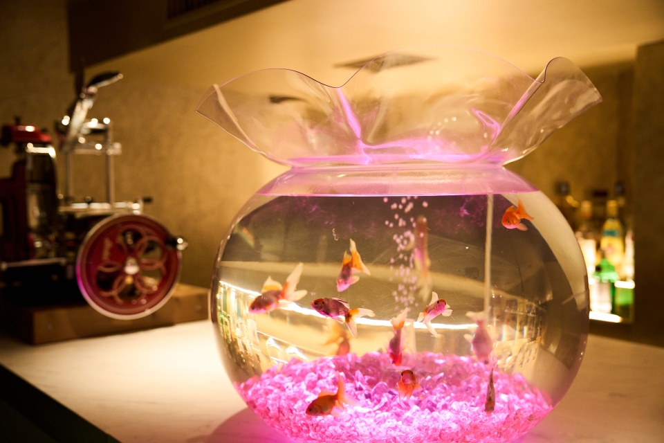 パフェと酒と、、、金魚