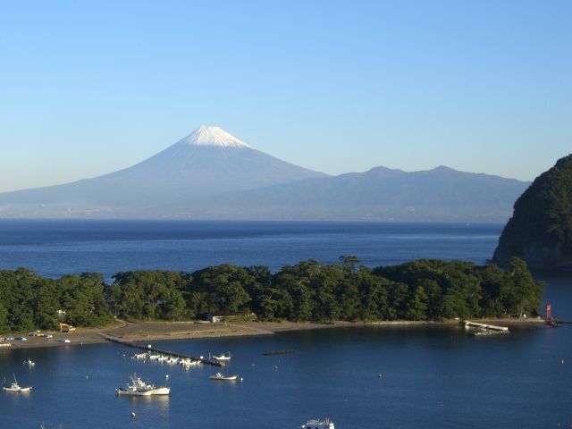 写真提供：沼津市