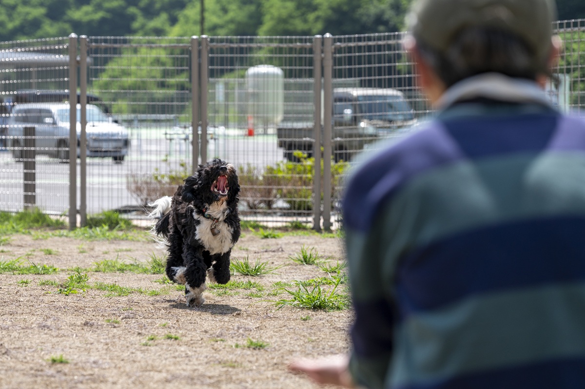 「道の駅 八千穂高原」無料で利用できるドッグラン
