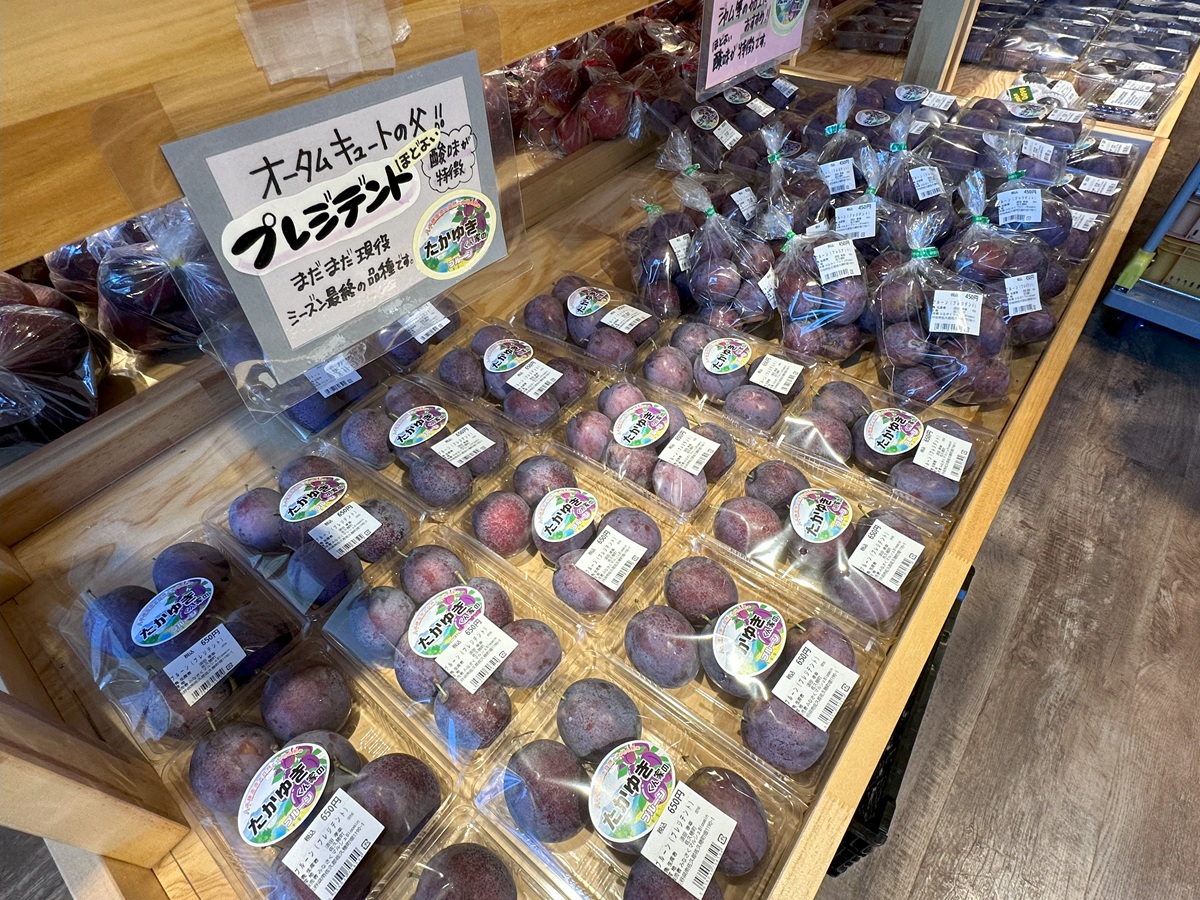 「道の駅 八千穂高原」一度食べたらクセになるフレッシュなプルーン