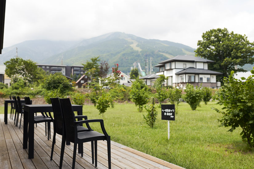 ワンちゃん連れもOKのテラスから、ヘーゼルナッツ畑を一望