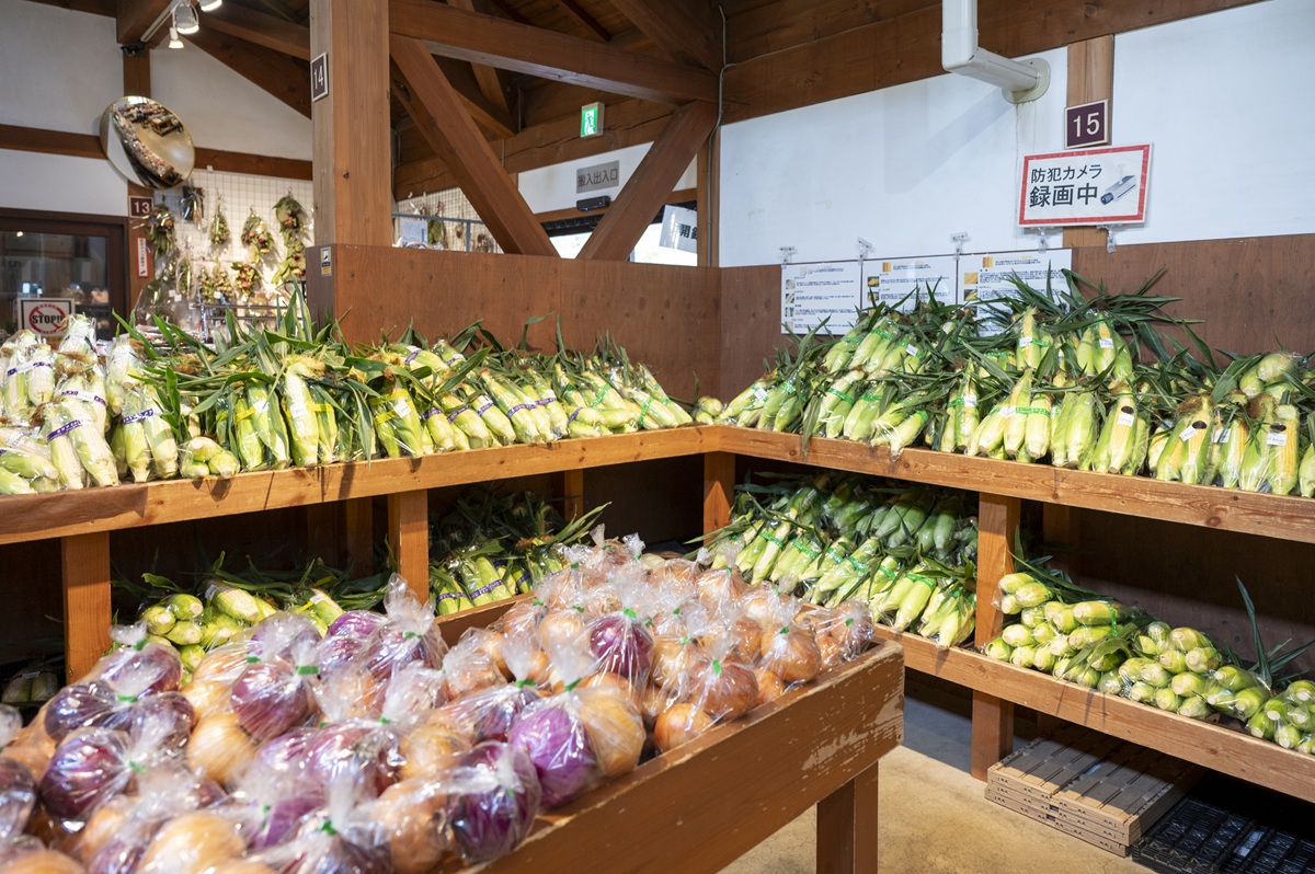 トウモロコシは種類の多さが特徴。いろいろ食べ比べたい