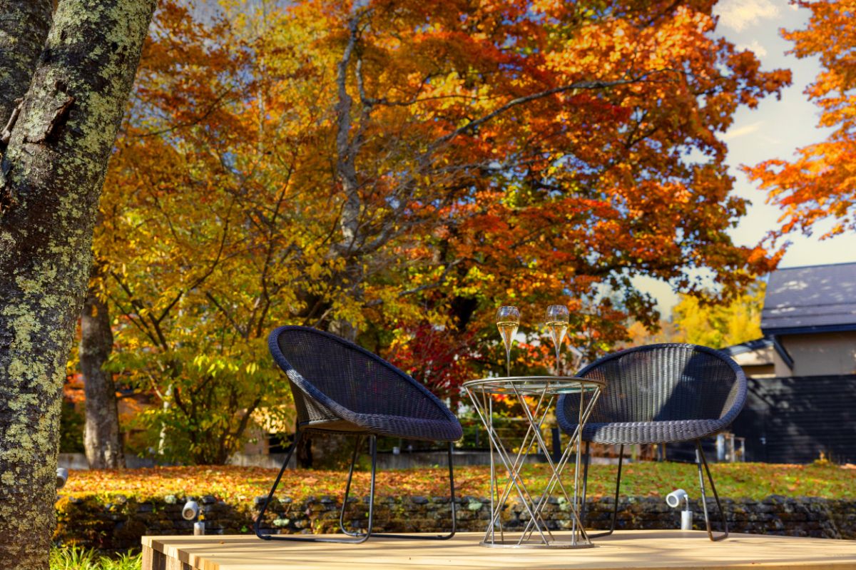 棚田ラウンジに設えられた特等席