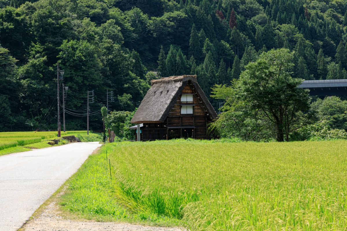 『花鳥風月, 中央にドリップコーヒー』『異世界海浜町』※2点 白川郷喫茶処 花鳥風月】2025年2月オープン! 白川郷に新しいお