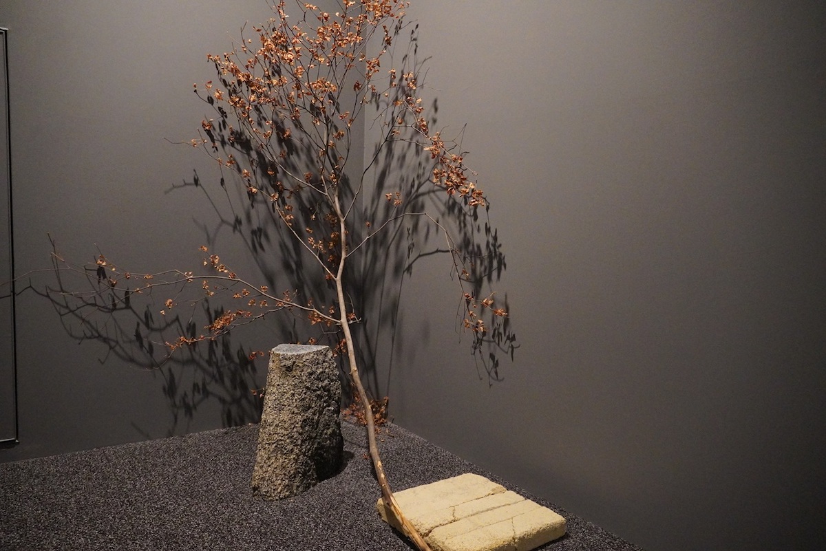 客室へと続く廊下のアート