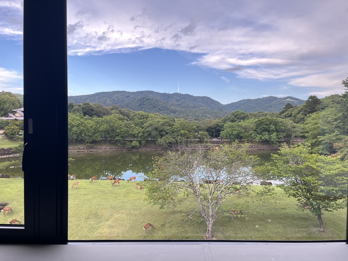 客室窓からの景色