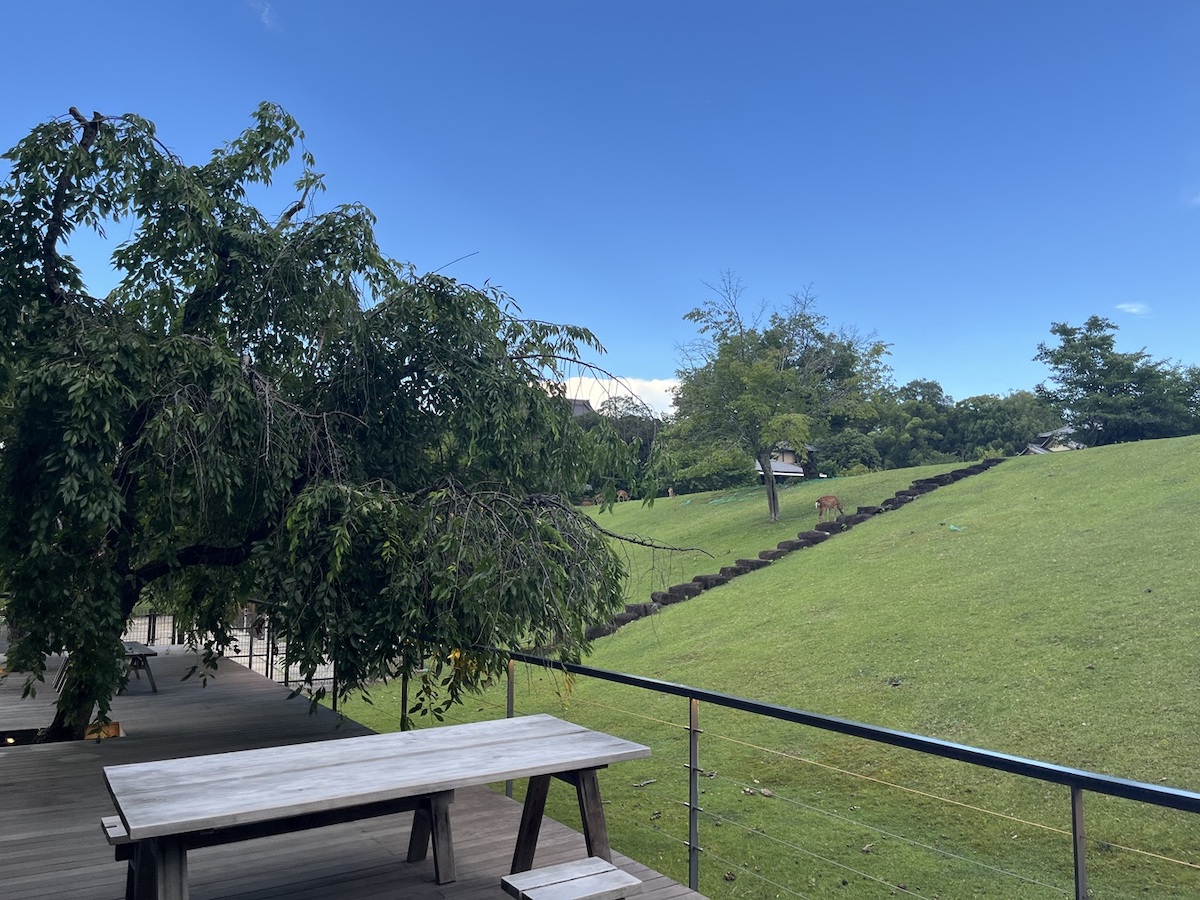 ラウンジ テラス席