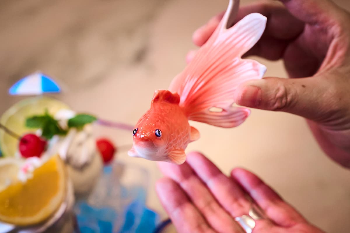 「金魚鉢クリームソーダ」にのった金魚