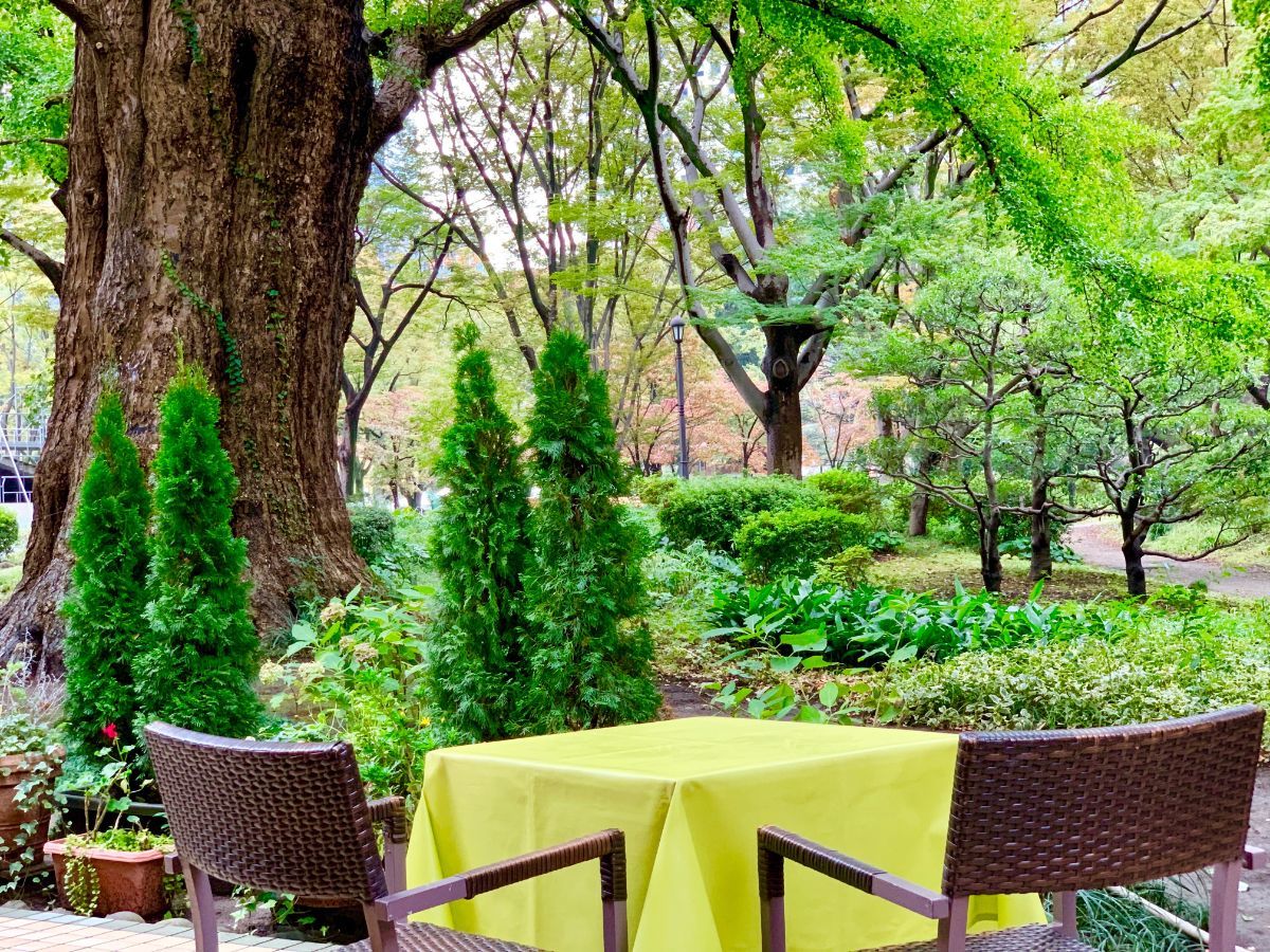 「日比谷松本楼 グリル＆ガーデンテラス」のテラス席