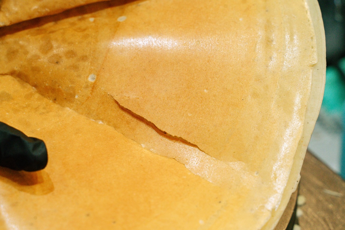 このパリパリ感！