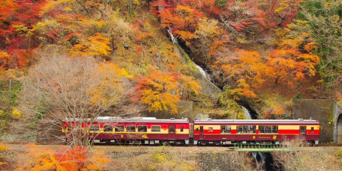 群馬・栃木】風に吹かれながら気分も爽快！ 「トロッコわっしー