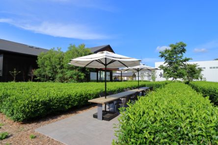 【静岡・掛川】茶畑に囲まれた「茶の庭」でこだわりのお茶とスイーツを楽しむ