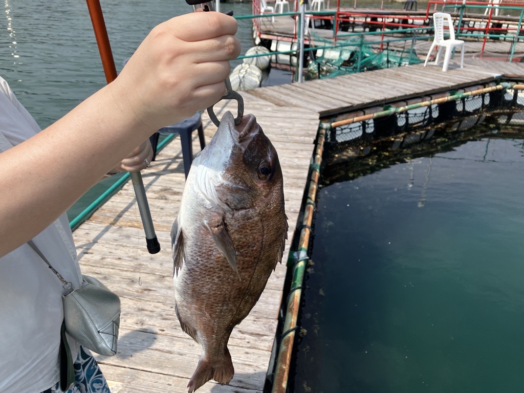 賢島フィッシングパーク 海遊苑