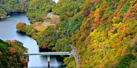 三重県でおすすめの紅葉名所～見頃やライトアップなどの2025年情報～