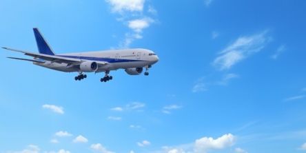 トランジットとは？ 定義・流れ・注意点をわかりやすく解説