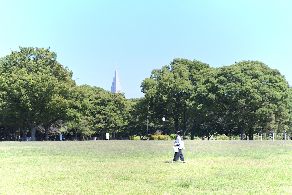 「代々木公園」の中央広場