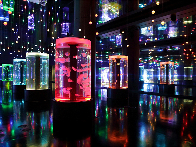 「ジェリーフィッシュランブル」