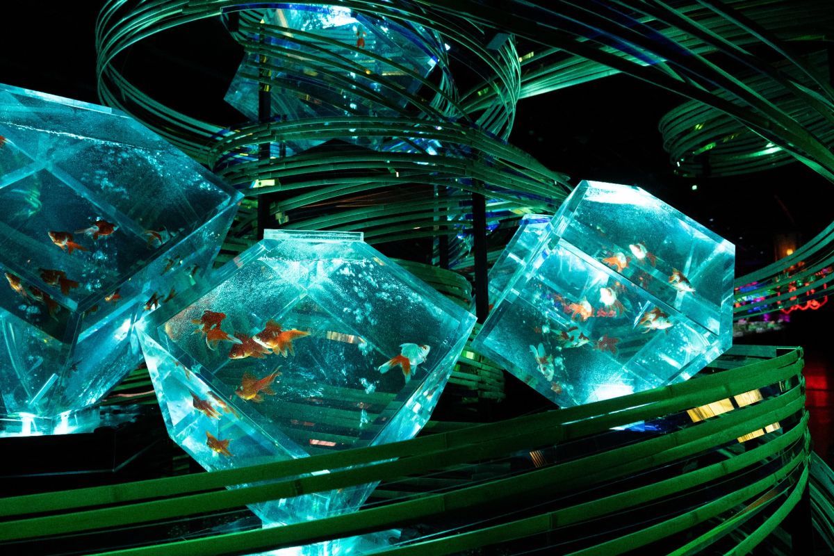 ©アートアクアリウム美術館