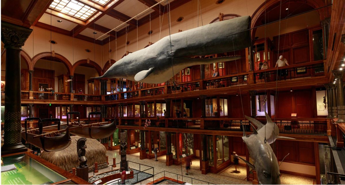 ミュージアム内観