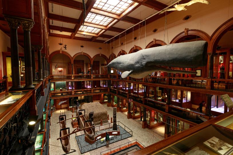 ハワイアンホール内観