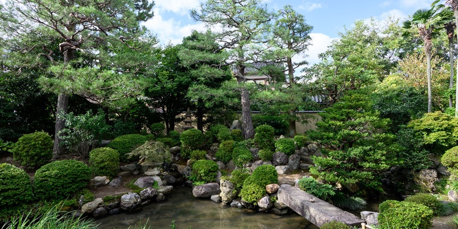 【金沢】2025年4月から「千田家庭園」が新たに一般公開！ 長町武家屋敷跡の歴史を感じる新名所でゆったりお庭めぐり