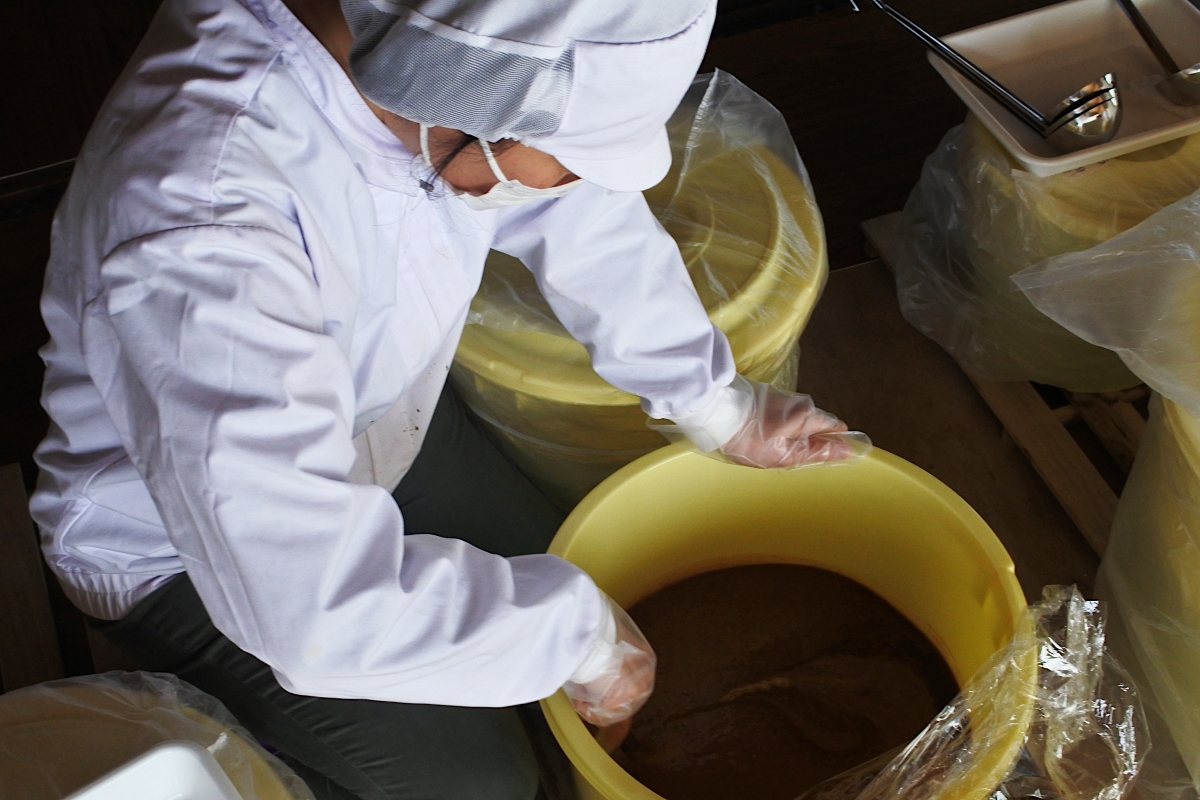 屋久島の魚醤はトビウオをはじめとする地魚、タカエビの残渣を使用して作る