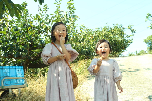 かつらぎ町のフルーツ狩り