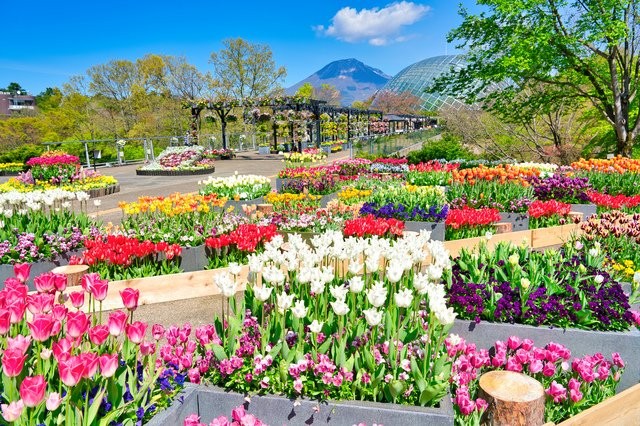 とっとり花回廊