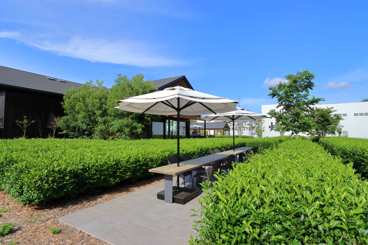 【静岡・掛川】茶畑に囲まれた「茶の庭」でこだわりのお茶とスイーツを楽しむ