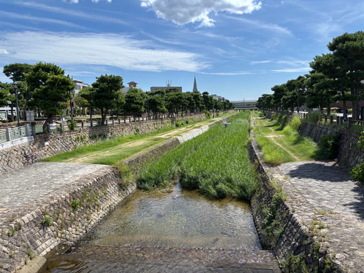 芦屋川
