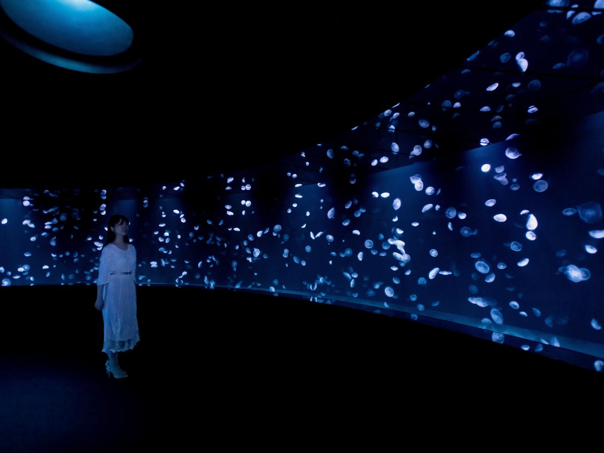 「海月空感（くらげくうかん）」