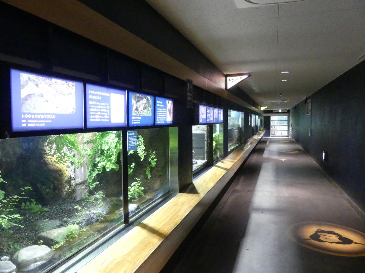 水生物館／（公財）東京動物園協会