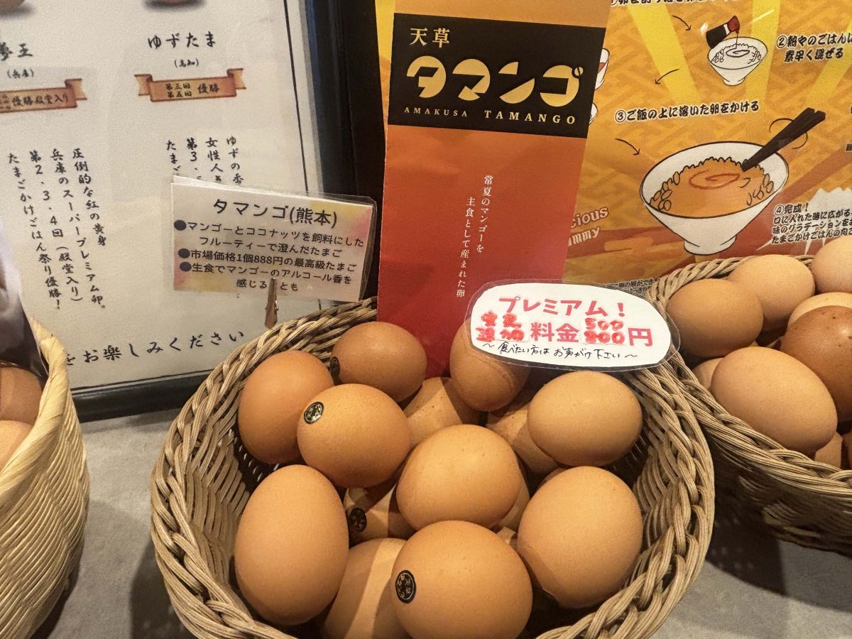 「天草タマンゴ」※「基本セット」の卵2個で選ぶ場合は追加料金+500円、3個目以降として追加する場合は+800円