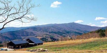 「るるぶキッチン×福島県川内村」特別メニュー! 川内村の名産品の多彩なおいしさをお届け