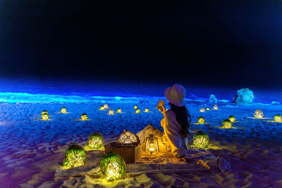 夜ピクニックイメージ