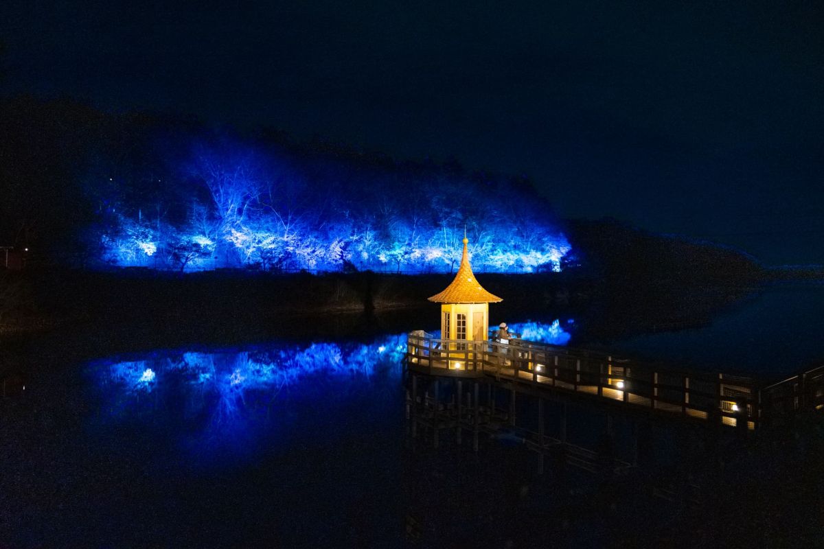 冬のライトアップ