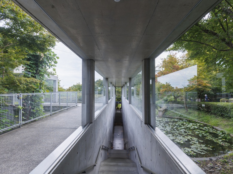 階段を降りた先の突き当たりにある窓からも、先ほど紹介した庭園の池の睡蓮を鑑賞できる